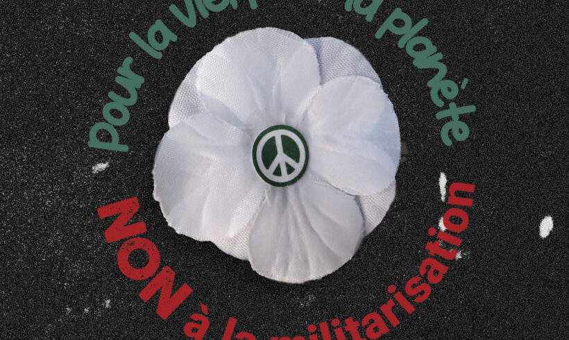Campagne du coquelicot blanc 2026 – Action média : Signez la déclaration et contribuez à sa publication !